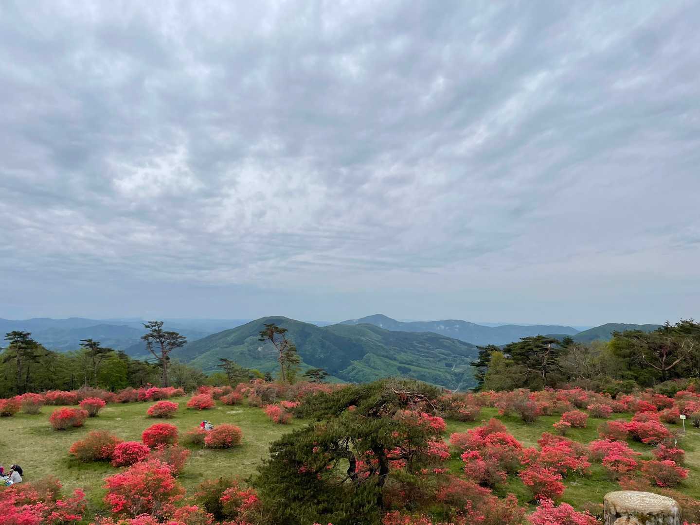 牧野登山口-高柴山 往復コースの写真