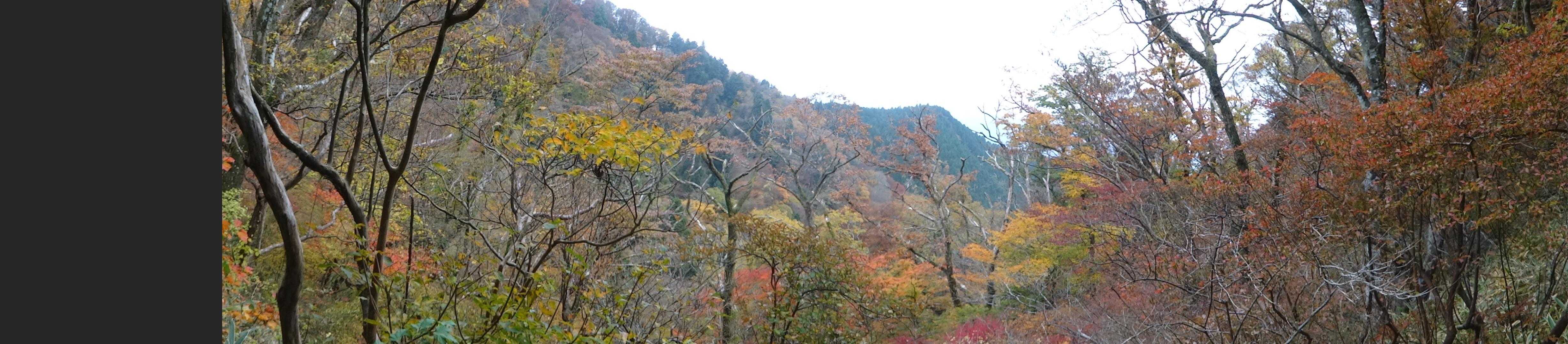 大和葛城山-水越峠-金剛山葛木神社-転法輪寺-金剛山-水越 周回コースの写真