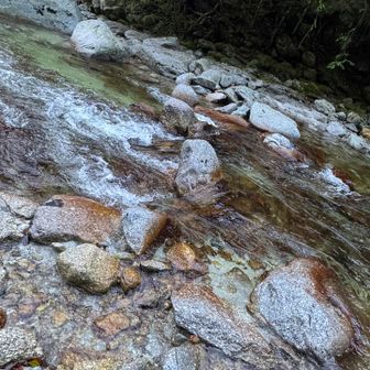 写真映えはしないが澄んだ川の流れ。