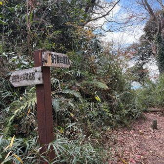 この前は獅子舞から来ましたが、今日は瑞泉寺へ下ります