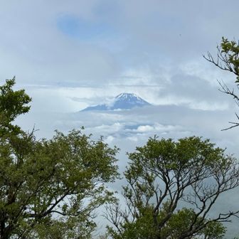 なんと🤩🤩
塔ノ岳まで戻ると富士山🗻