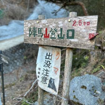 このルートは、木々の隙間から富士山が見えて良き。