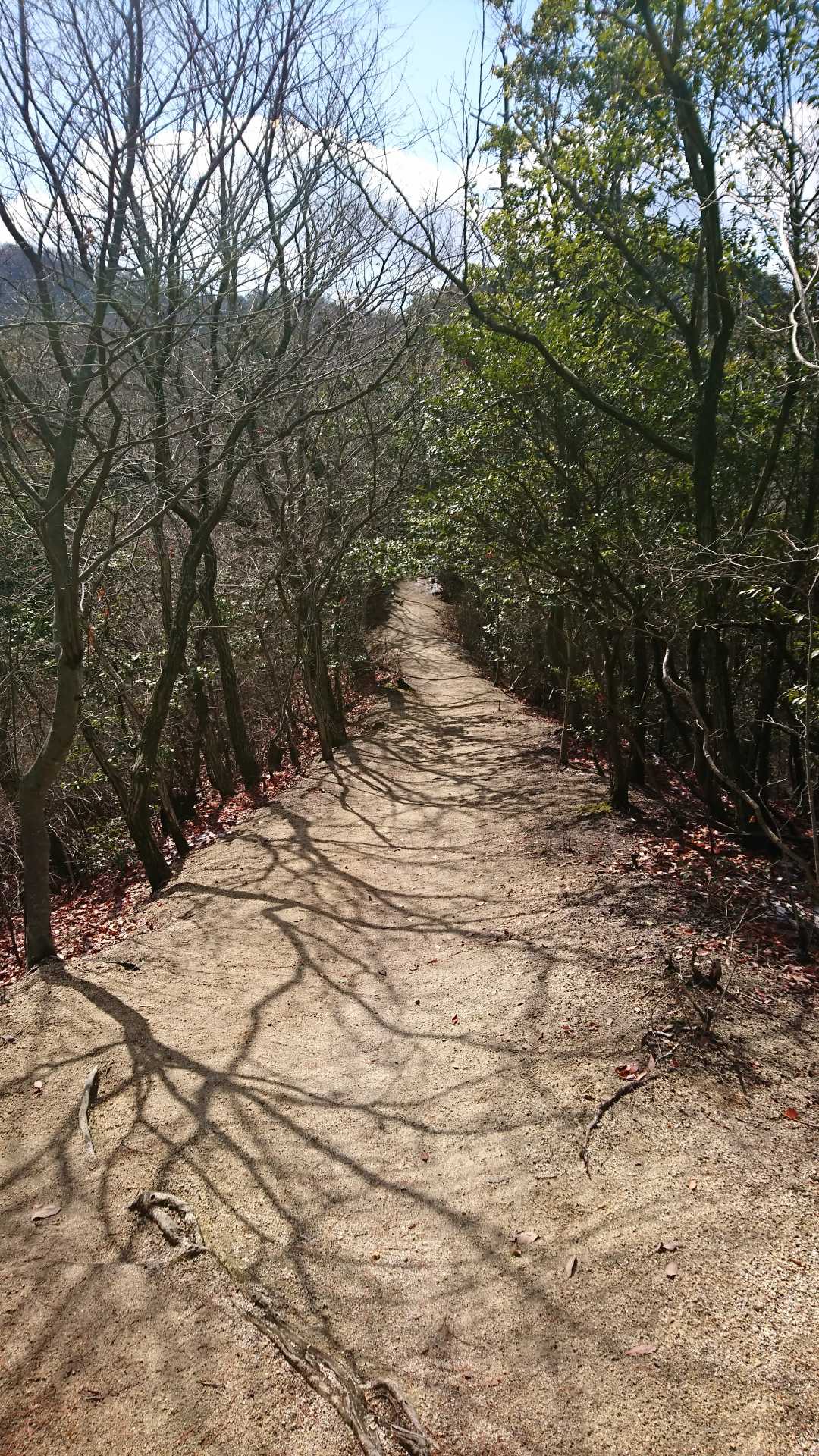 うん❗良い😋🏞️