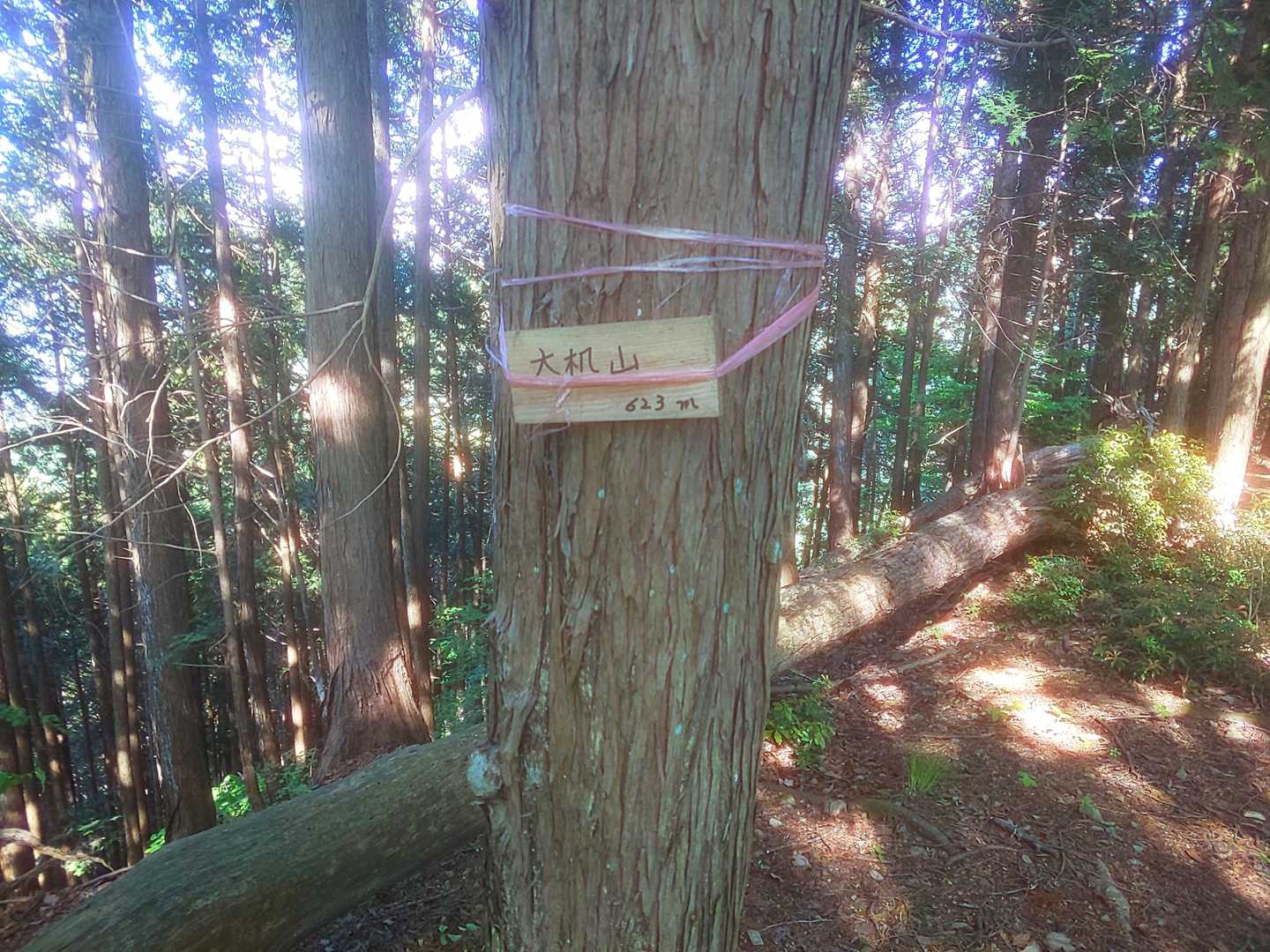大机山(623)手製標識。