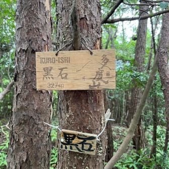 何度来たっけかな…