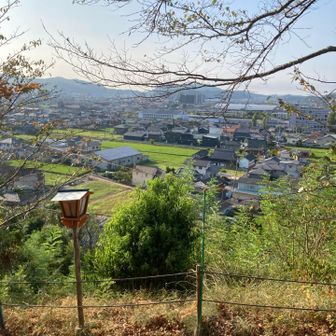 今日も、暑くなりそうですね。