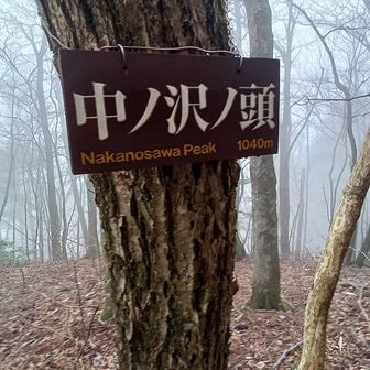 最初は中ノ沢ノ頭