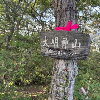 ここまでいくつかのピークを踏んできた。
少し戻って、一旦下り佐野アルプスへ。
この辺りは太平アルプスというらしい。