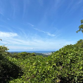 スマホを上に伸ばしてパシャリ。
海で〜す。