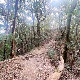 花切山に向かいます。