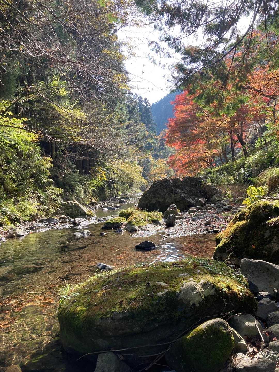 良さげな場所をみつけたのでランチにします