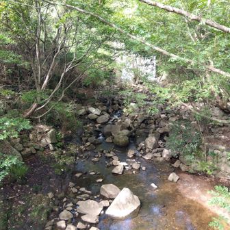 旧菊水山駅の手前の橋の上から。清流っぷりがたまらんですね。奥には堰堤から流れ落ちる滝が。
