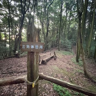 しかし、すでに暑い💦