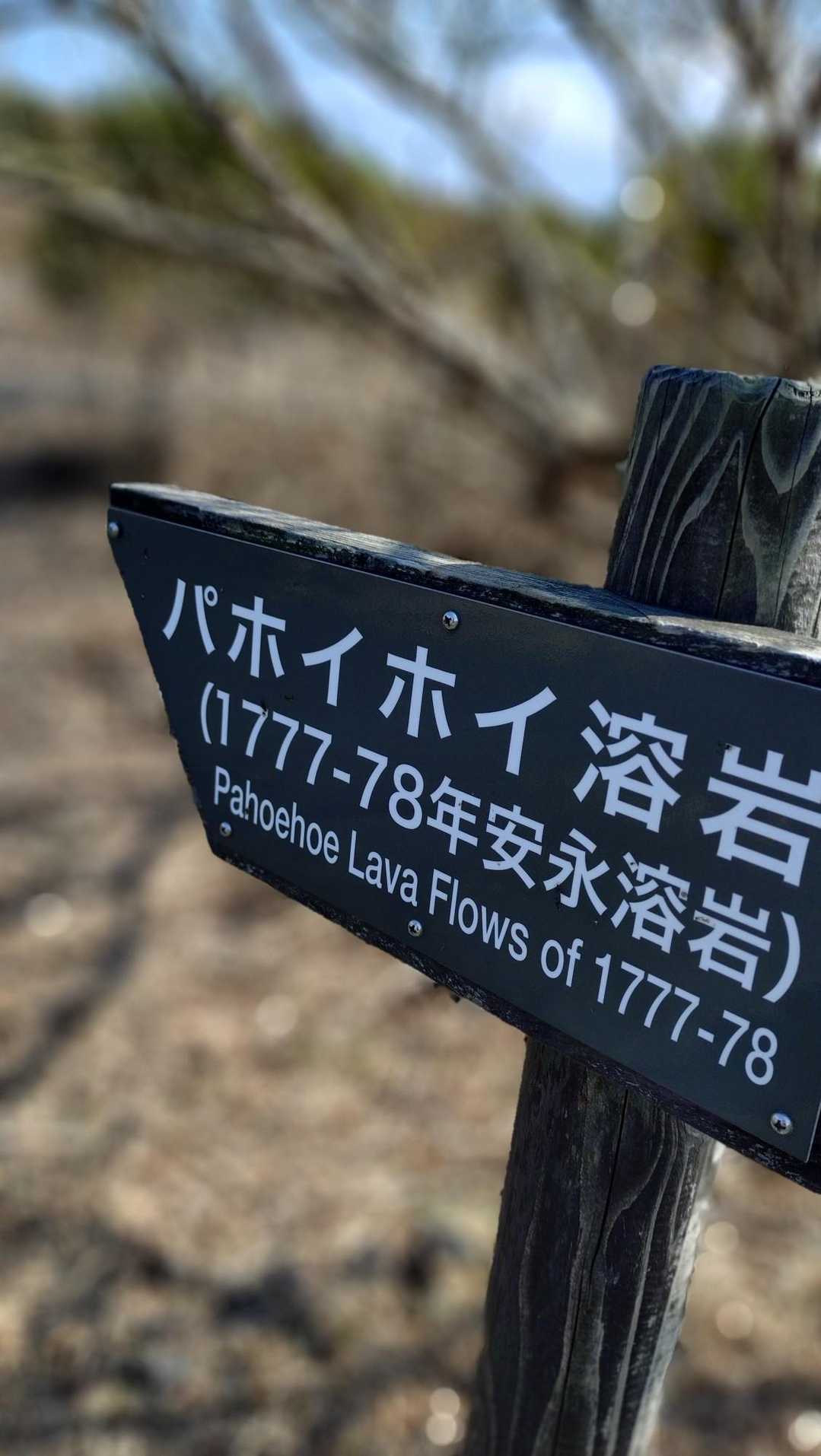 三原山頂口バス停発着｜三原山お鉢巡りコースの写真