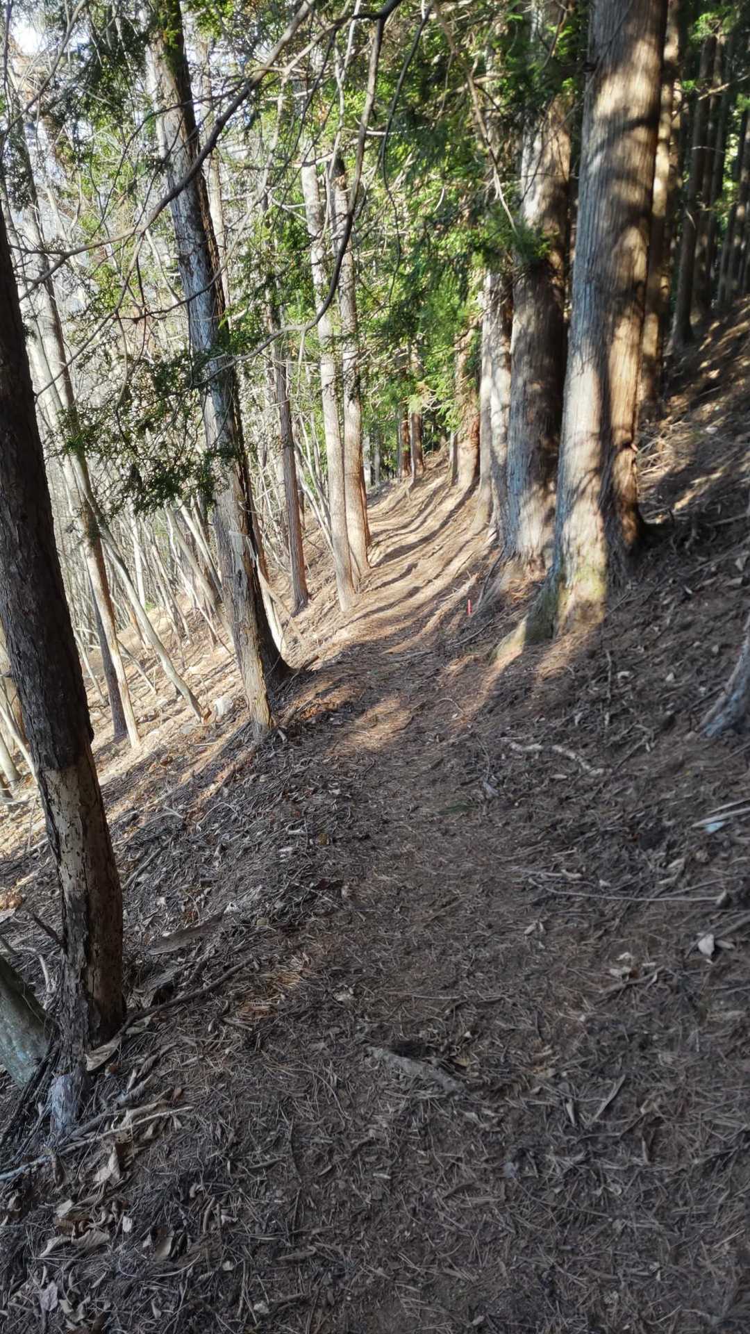 とにかくひたすら下ります。