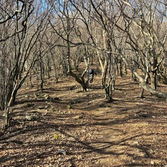 土も乾いていて九十九折りで歩きやすかった♪🪨