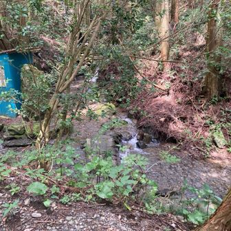 ヤゴ沢作業路登山口