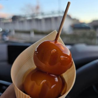 みたらし団子も食う