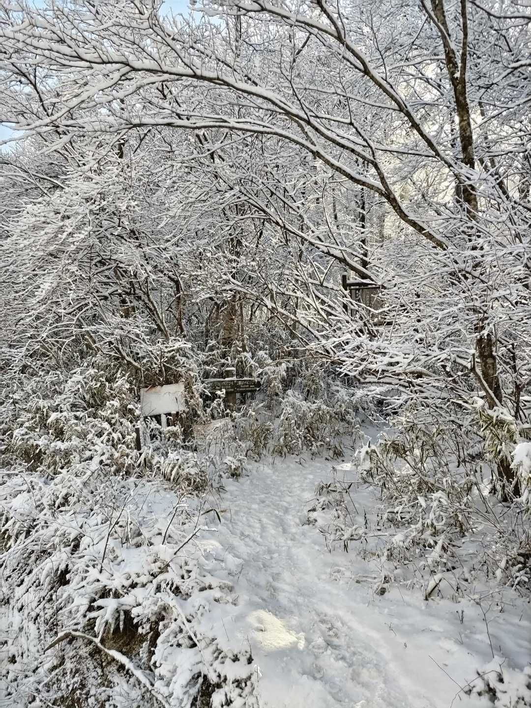 登山口。
結構雪あるけど大丈夫かなー？