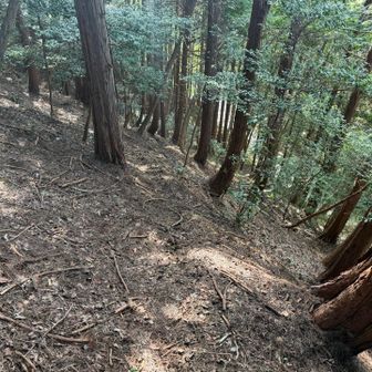 冷川峠の手前の崖
踏み跡を探して下ります