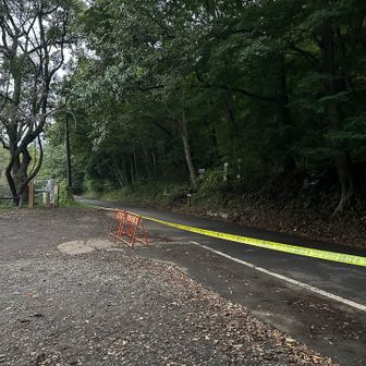 駐車場にロープが張ってあるにゃ