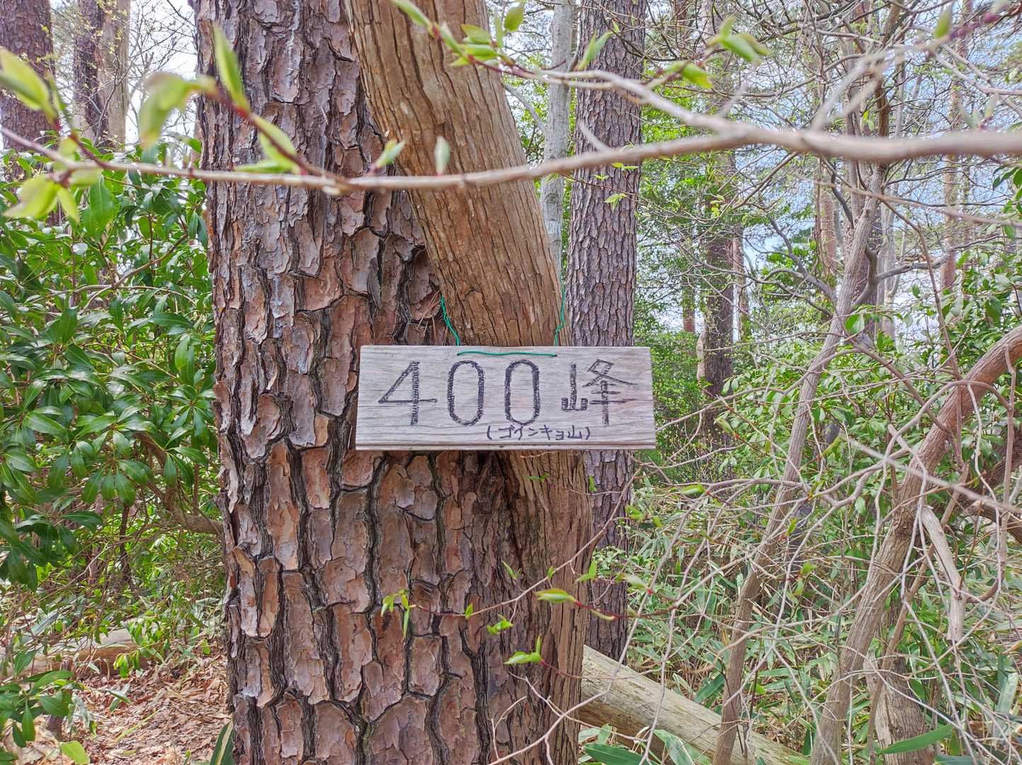 400峰(ゴインキョ山)