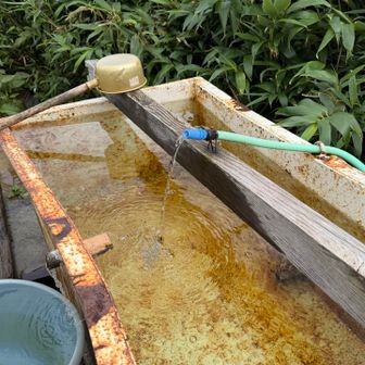 切合小屋の水場