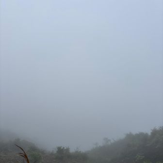 何も見えない……
