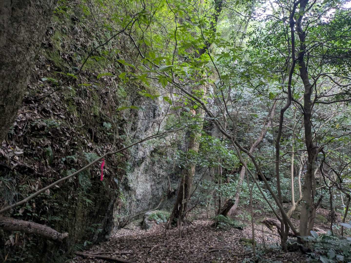 竜門ダム登山口-牧ノ山 周回コースの写真