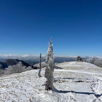 お父さんは、名残惜しい。
でも、少し風があって寒い🥶。