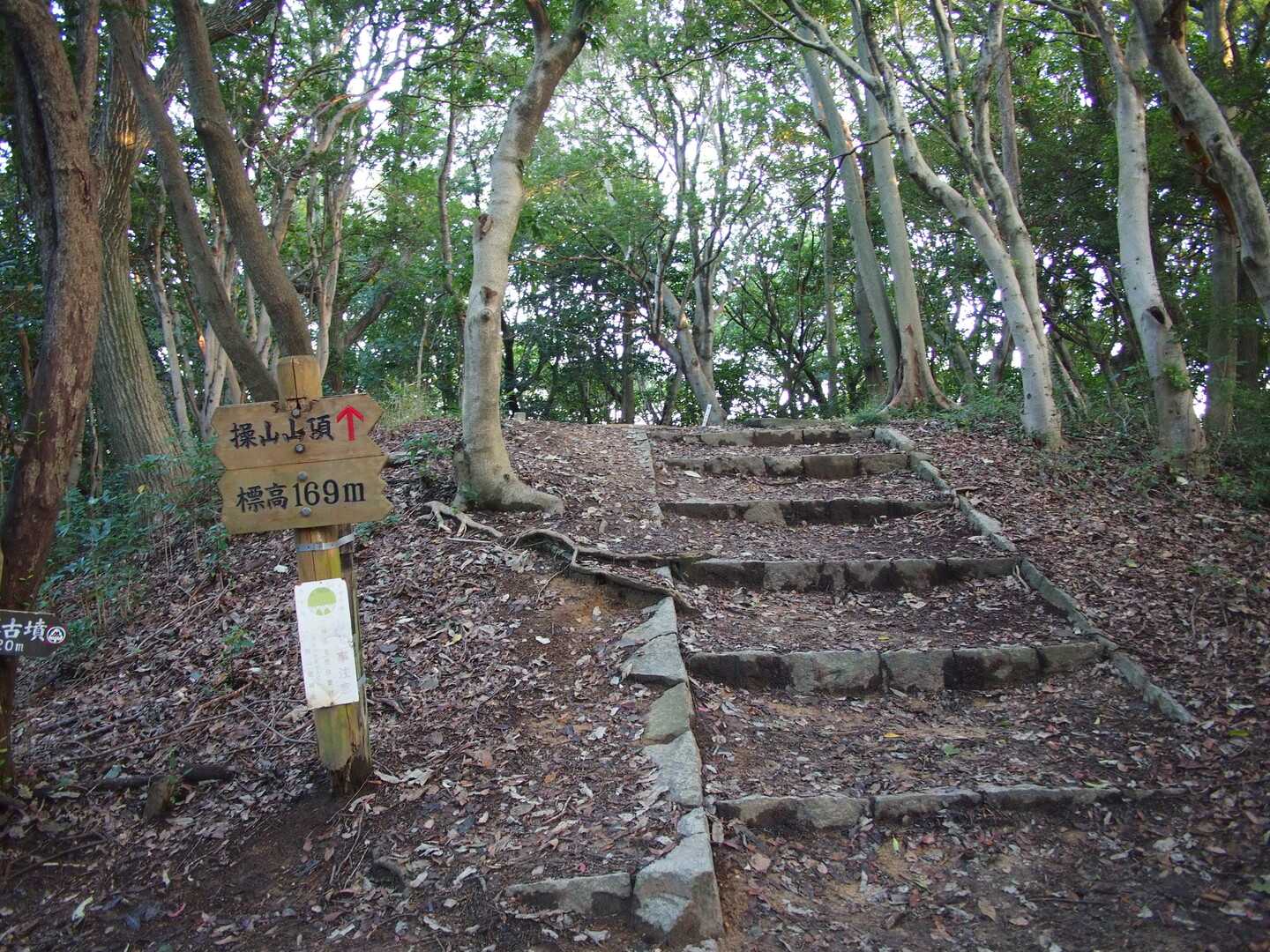 操山の写真