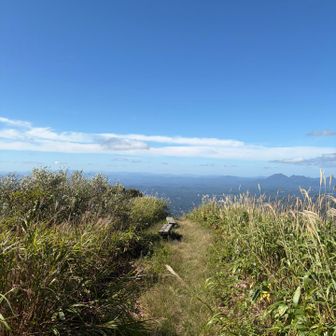 最高だな。気持ちい。