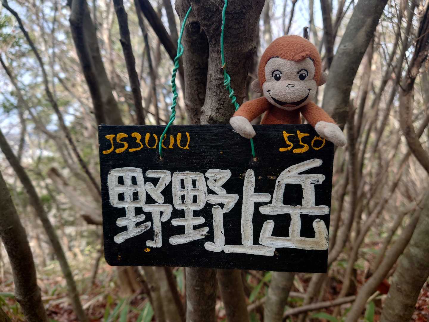 野野上岳の写真