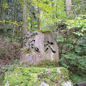 また来ま〜す👋