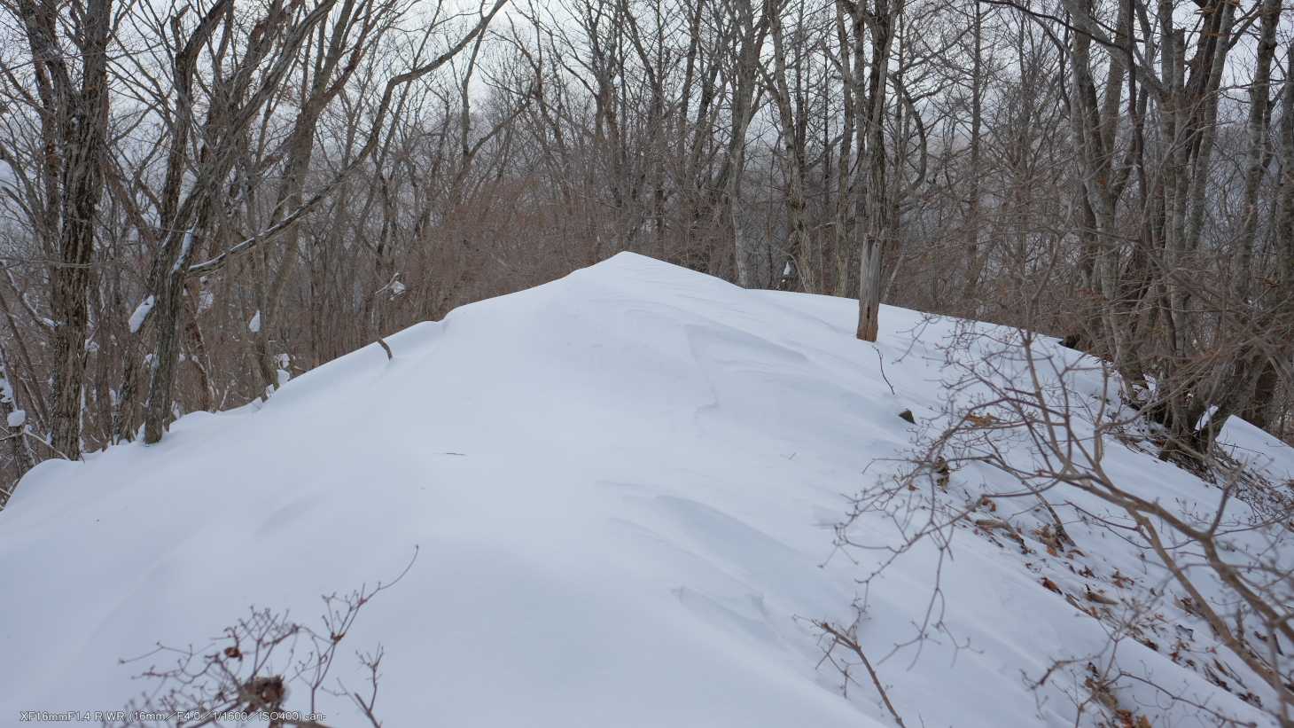 小さな山頂。