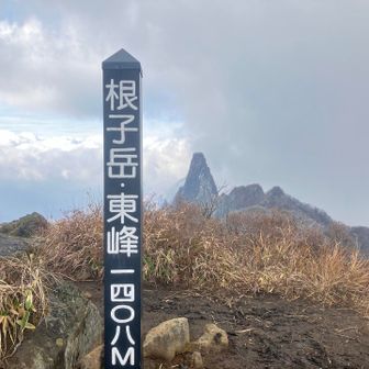 山頂に着きました！