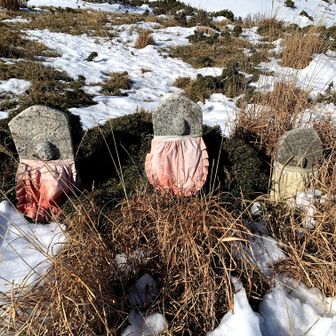 お地蔵さん

チエーンスパイクを履きました