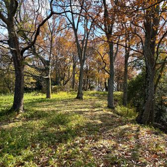 あまり、城跡っぽく無い。
石垣が無い。向こうに運んだから？