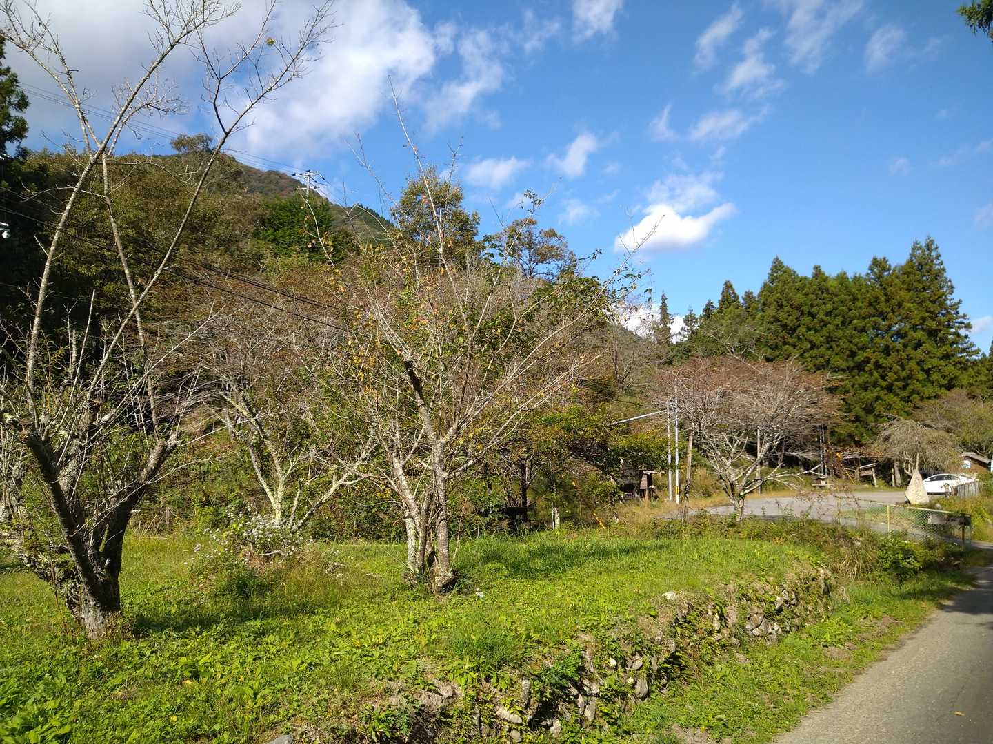 戻ってきました