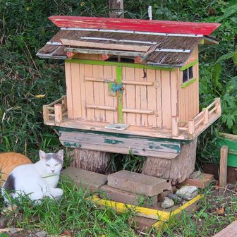 駐車場内にもずいぶん猫がいるなぁ？と思ったら、近くにこんなお家がありました😊🐈‍⬛🐈️