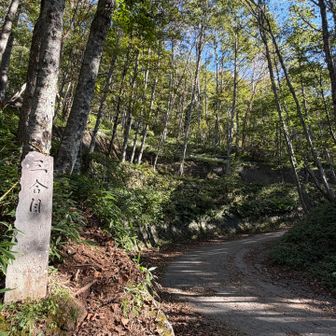 3合目から車道です。