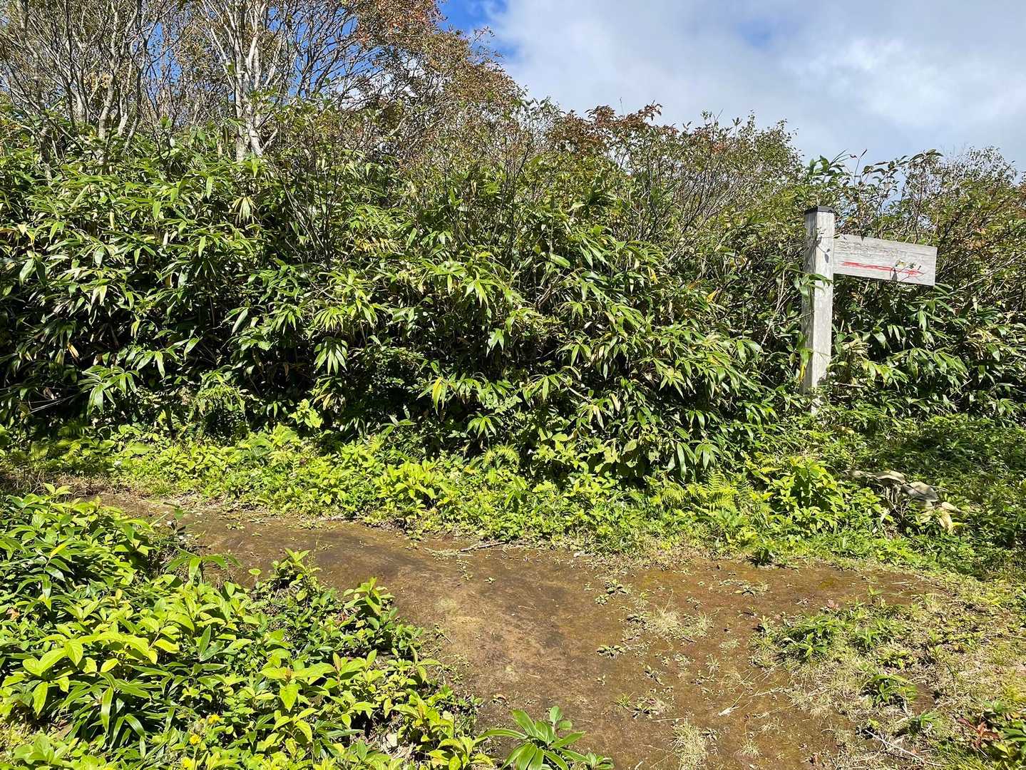 稲庭岳-駒形神社-駒形コース登山口 周回コースの写真