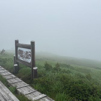 山頂