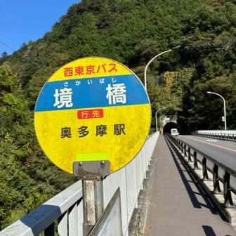 下りの林道歩きが長かったー。ホントは奥多摩駅まで歩くつもりでしたが、5分後にバスが来たので迷わず乗りました😄