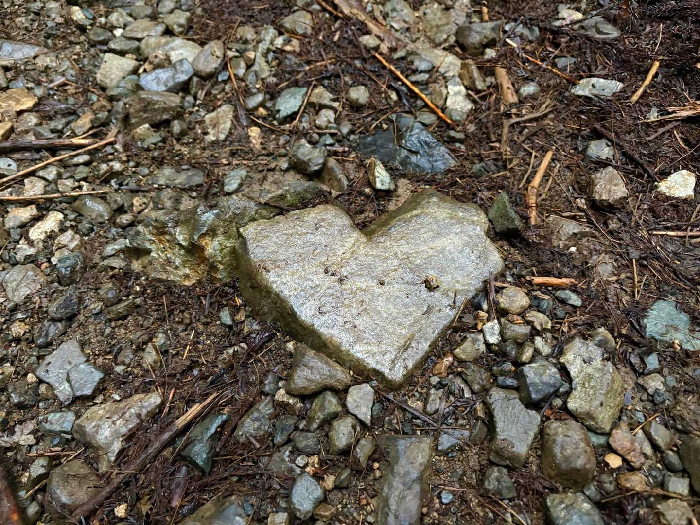 今日もめっけ💕