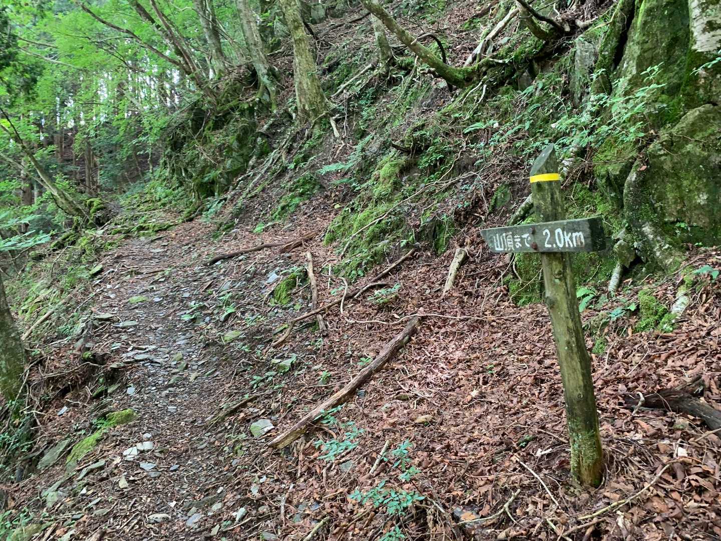 土居登山口-峨蔵越-二ッ岳 往復コースの写真