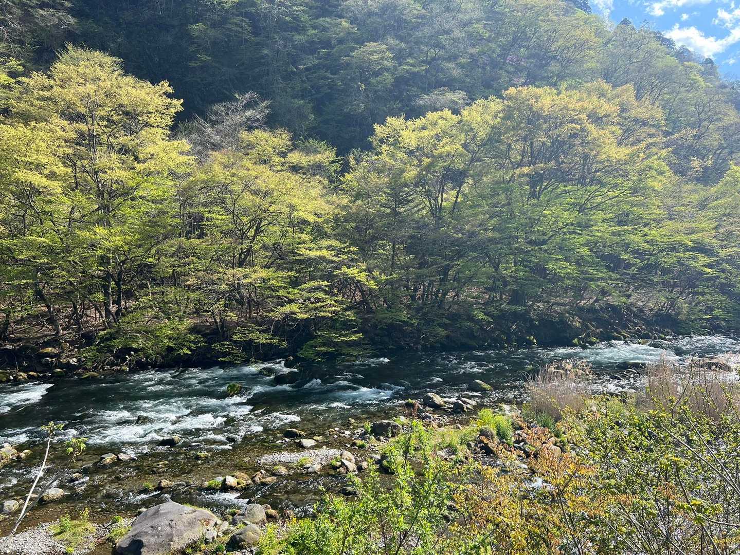 大谷川