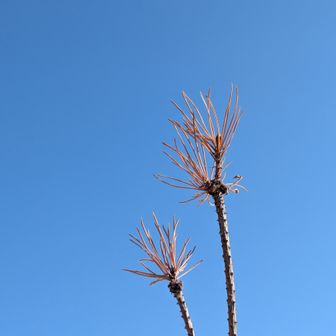 やっぱ岩山楽しいの〜🪨😆

ほな🍺