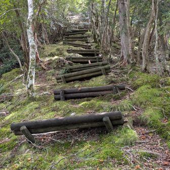 急な登山道
旗立山は直ぐそこ