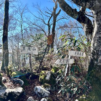 山友さんと会う👀